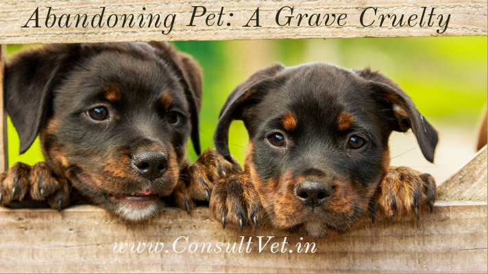 Abandoning Pet: A grave Cruelty