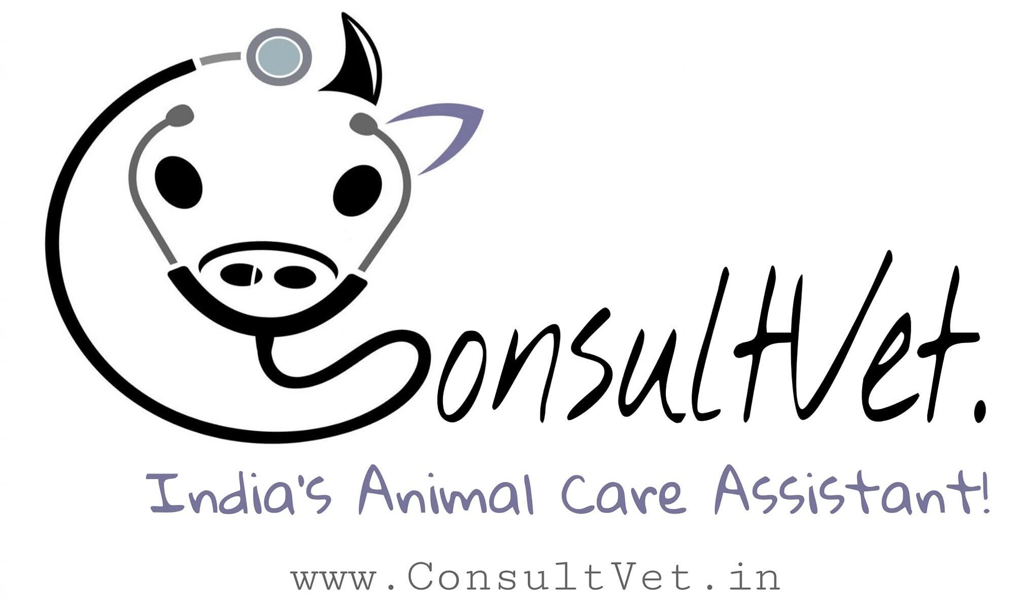 CONSULTVET